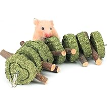 Amazon.co.jp: MUYYIKA ハムスター 歯磨き うさぎ チンチラ 嚙む